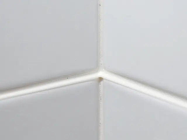 Schimmel im Bad effektiv entfernen und dauerhaft vorbeugen