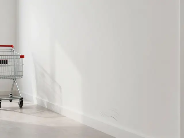 Wandschutz in Flur, Küche & Kinderzimmer: Die besten Systeme gegen Kratzer und Dreck