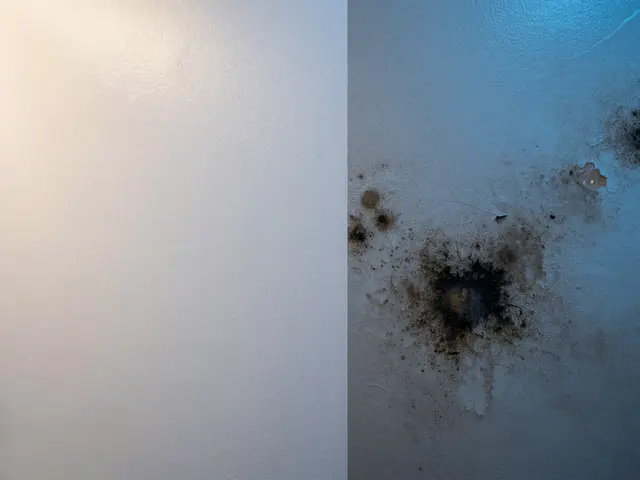 Feuchtraumfarbe richtig einsetzen: Schutz vor Schimmel, Dampf und Fett in Küche & Bad