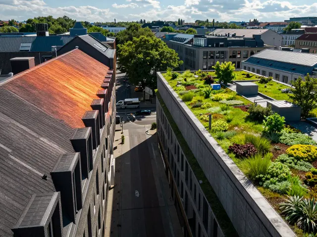 Dachbegrünung umgesetzt: Klimaeffekte, Pflege & Fallstudien im Check